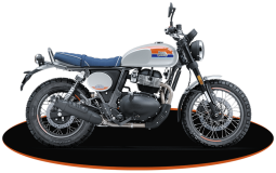 Bear 650